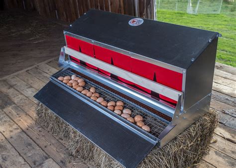 metal laying boxes for chickens|outside nesting boxes for chickens.